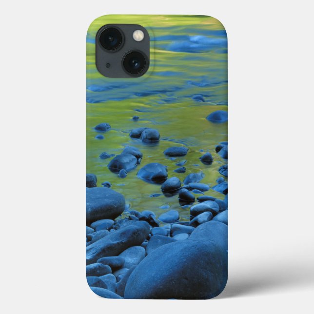 Coques Case-Mate iPhone USA, Washington, Olympic National Park 4 (Verso)