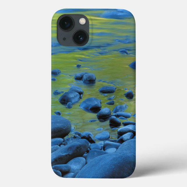 Coques Case-Mate iPhone USA, Washington, Olympic National Park 4 (Verso)