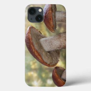 iPhone 13 Case USA, Washington, Seabeck. Leccinum Insigne