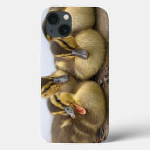 iPhone 13 Coque USA, Washington, Seattle, Lake Washington
