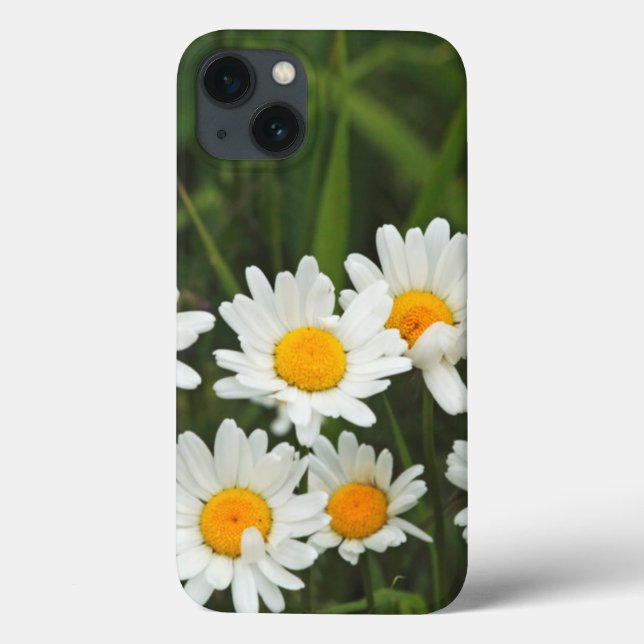 Coques Case-Mate iPhone USA, Washington, Seattle, Puget Sound 3 (Verso)