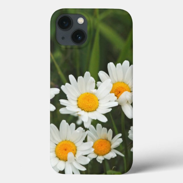 Coques Case-Mate iPhone USA, Washington, Seattle, Puget Sound 3 (Verso)