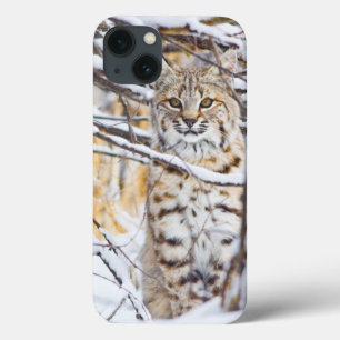 Etui iPhone Case-Mate USA, Wyoming, Bobcat