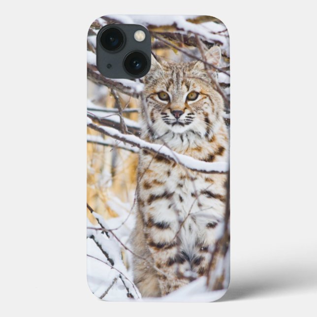Coques Case-Mate iPhone USA, Wyoming, Bobcat (Verso)