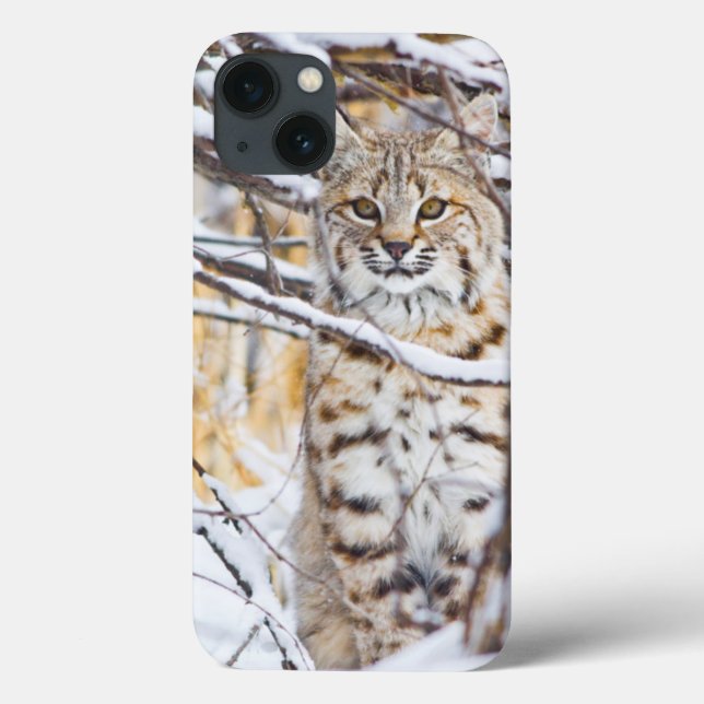 Coques Case-Mate iPhone USA, Wyoming, Bobcat (Verso)