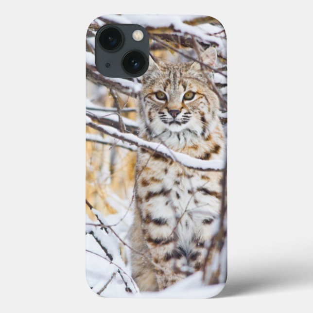 Coques Case-Mate iPhone USA, Wyoming, Bobcat (Verso)