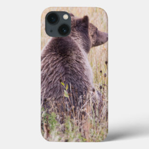 iPhone 13 Case USA, Wyoming, Yellowstone National Park, Grizzly 2