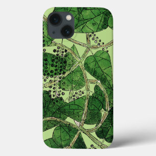 Etui iPhone 13 Usine de poivre noir, 1578