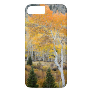 Etui iPhone Case-Mate Utah, États-Unis. Peupliers trembles et fourrés de