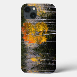 Etui iPhone Case-Mate Utah, États-Unis. Peupliers Trembles (Populus Trem
