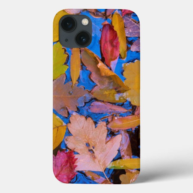 Coques Case-Mate iPhone Utah, Glen Canyon National Recreation Area 2 (Verso)