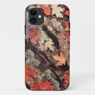 Etui iPhone Case-Mate Utah, parc national de Zion, Motifs d'automne