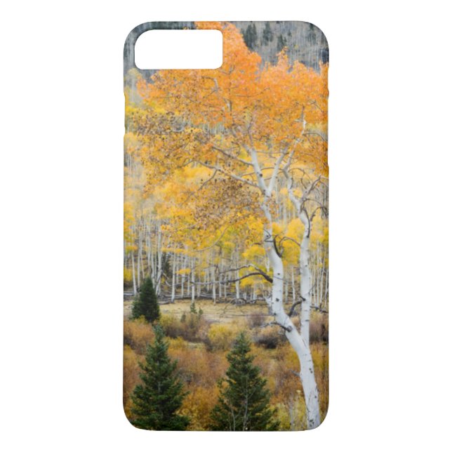 Coques Case-Mate iPhone Utah, USA. Arbres D'Aspen Et Épais De Saules (Dos)