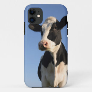 Coque iPhone 11 Vache attentive