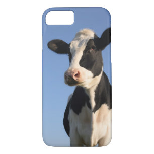 Coques Pour iPhone Vache attentive