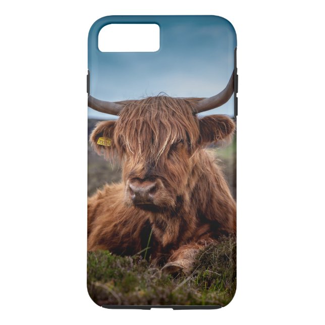 Coques Case-Mate iPhone Vache de Highland (Dos)