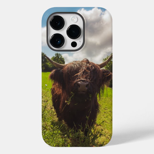 Coques Case-Mate iPhone Vache noire pâturage vert champ soleil (Verso)