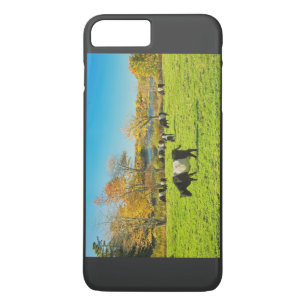 Coques Pour iPhone Vaches Belted Galloway paissant sur l'herbe en aut