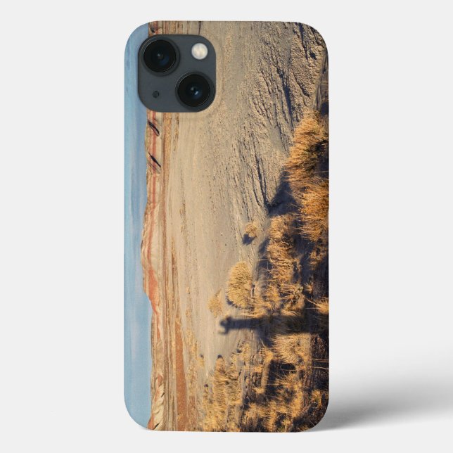 Coques Case-Mate iPhone Vague du désert : Parc national de la forêt pétrif (Verso)