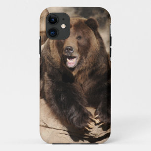 Coque Case-Mate iPhone Verrat d'ours gris