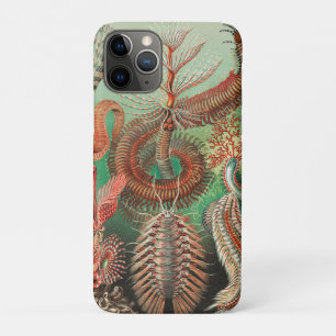 Case-Mate iPhone Case Vers, Annélides Chaetopoda par Ernst Haeckel