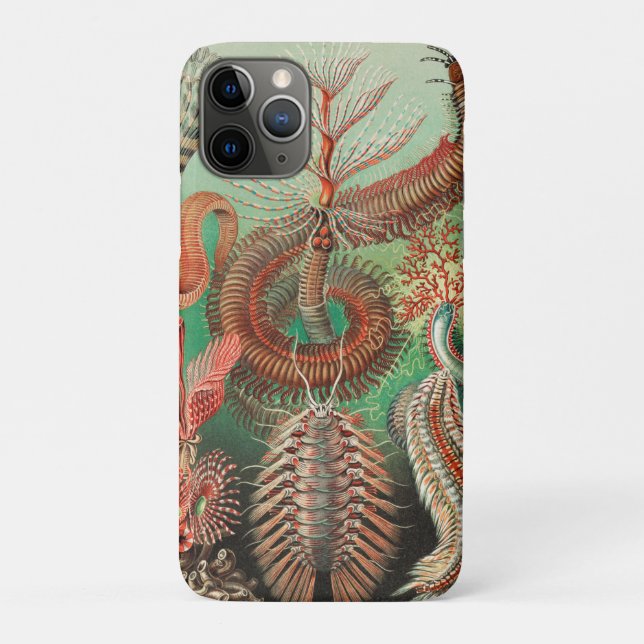 Coques Case-Mate iPhone Vers, Annélides Chaetopoda par Ernst Haeckel (Dos)