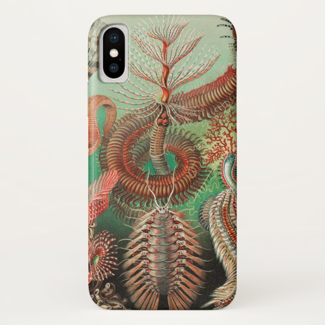 Coques Case-Mate iPhone Vers, Annélides Chaetopoda par Ernst Haeckel (Dos)
