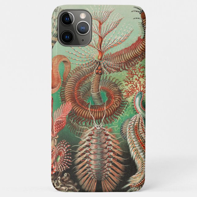 Coques Case-Mate iPhone Vers, Annélides Chaetopoda par Ernst Haeckel (Dos)
