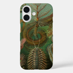 Coque Pour iPhone 16 Vers Annélides Chaetopoda vintage par Ernst Haecke