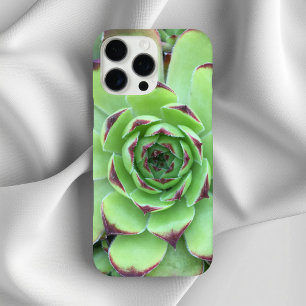 Coque iPhone 16 Pro Max Vert avec pourpre Conseils Succulent Gros plan Pho