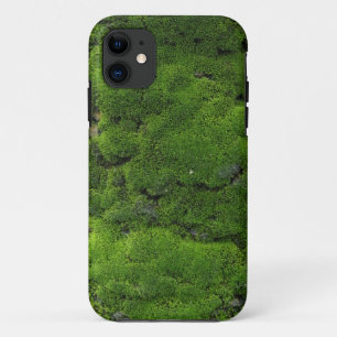 Coques Pour iPhone Vert de mousse
