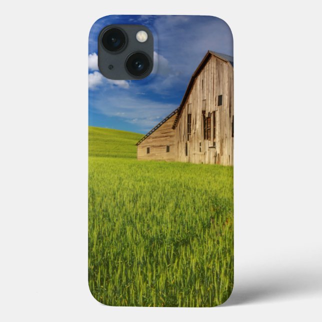 Coques Case-Mate iPhone Vieille grange dans un champ de blé de printemps (Verso)