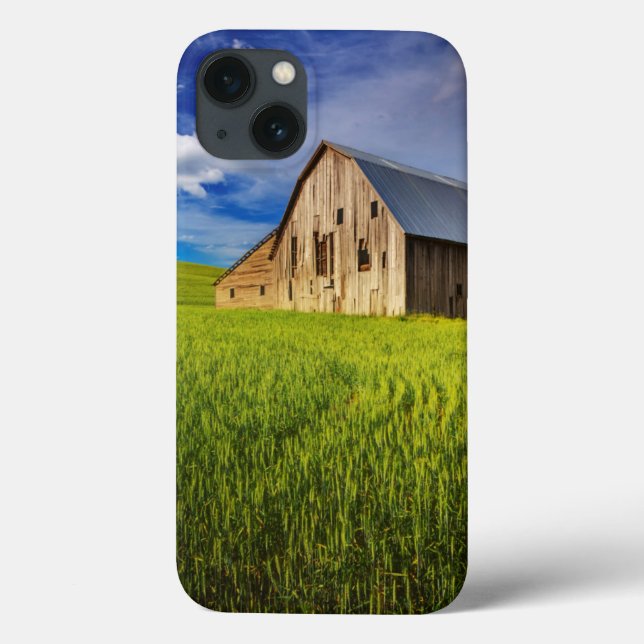Coques Case-Mate iPhone Vieille grange entourée de champ de blé de printem (Verso)