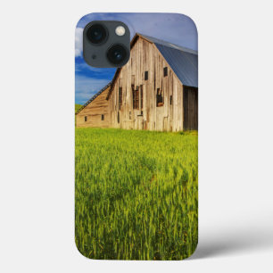 Etui iPhone 13 Vieille grange entourée de champs de blé de printe