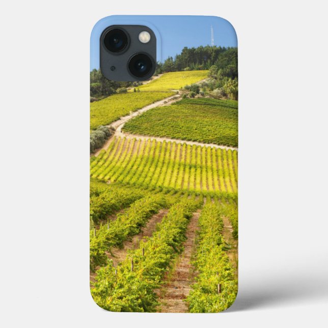 Coques Case-Mate iPhone Vignoble, Stellenbosch, Western Cape (Verso)