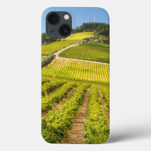 Etui iPhone Case-Mate Vignoble, Stellenbosch, Western Cape
