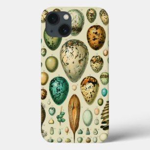 Case-Mate iPhone Case Vintage Bird Eggs French Fish Egg