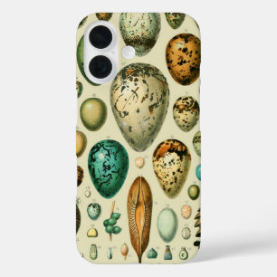 Coque Pour iPhone 16 Vintage Bird Eggs French Fish Egg
