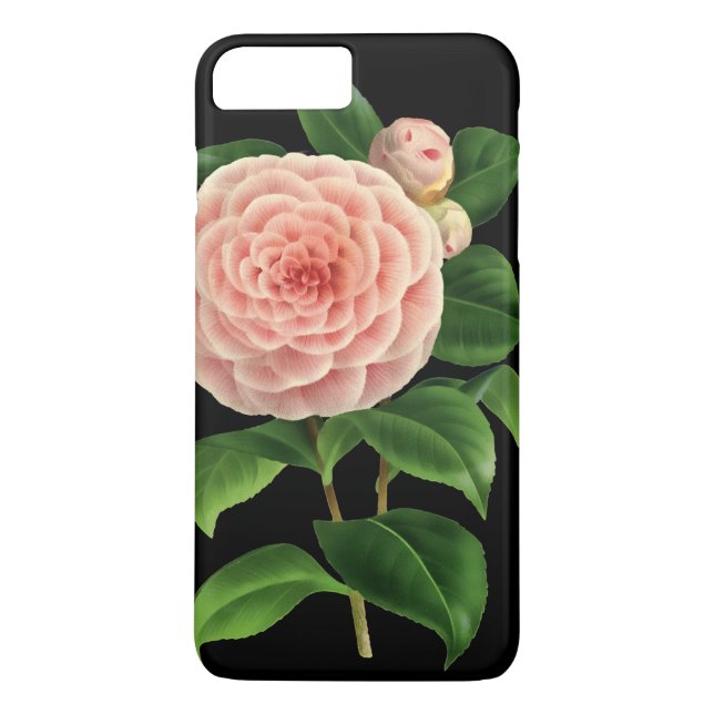 Coques Case-Mate iPhone Vintage Camellia Blossom Botanique (Dos)