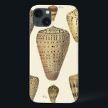 Etui iPhone Case-Mate Vintage Cone Shells<br><div class="desc">Artist Denis Diderot is talented and known for his great sea life images. In this vivid image, he captures these crackled cone Conch seashells in their most natural style. Conches are often crackled like these four seashells and in a sepia looking tone. Get your seashell product today and you can...</div>