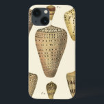 Etui iPhone Case-Mate Vintage Cone Shells<br><div class="desc">Artist Denis Diderot is talented and known for his great sea life images. In this vivid image, he captures these crackled cone Conch seashells in their most natural style. Conches are often crackled like these four seashells and in a sepia looking tone. Get your seashell product today and you can...</div>