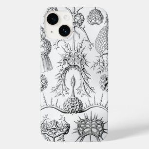 Coque Pour iPhone 14 Vintage Haeckel