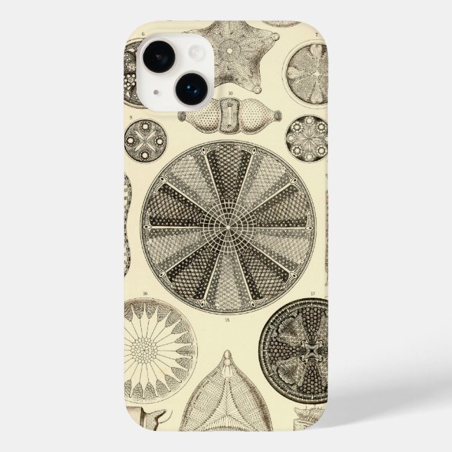 Coques Case-Mate iPhone Vintage Haeckel (Verso)