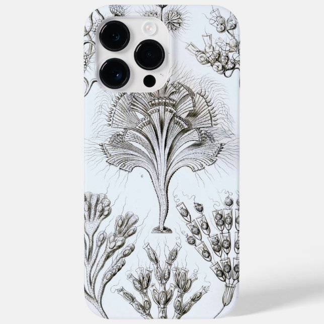 Coques Case-Mate iPhone Vintage Haeckel (Verso)