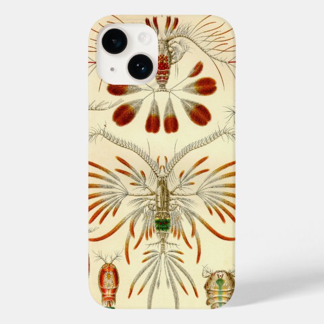 Coques Case-Mate iPhone Vintage Haeckel (Verso)