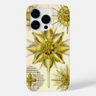 Coque Case-Mate iPhone Vintage Haeckel