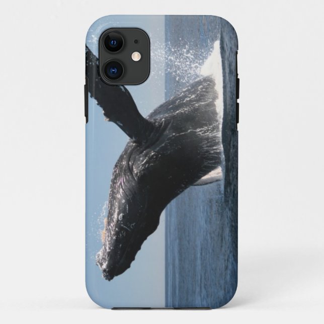 Coques Case-Mate iPhone Violation adulte de baleine de bosse (Dos)