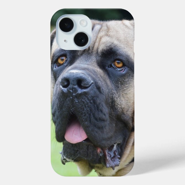 Coques Case-Mate iPhone Visage Bullmastiff (Verso)