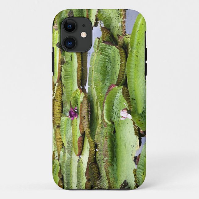 Coques Case-Mate iPhone Vitoria Regis, nénuphars géants dans l'Amazone (Dos)
