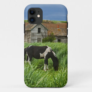 Coque iPhone 11 Voir des chevaux dans un champ dans la Palouse 2